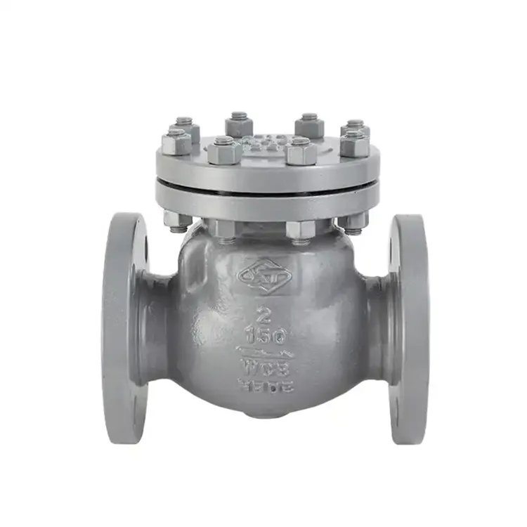 Valv ta' Iċċekkja ta' 1 Pulzier Non Return